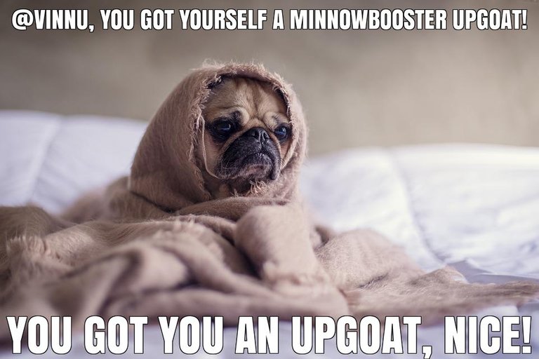 @vinnu got you a 8.38% @minnowbooster upgoat, nice!