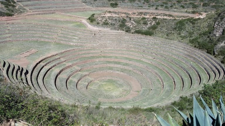 Moray