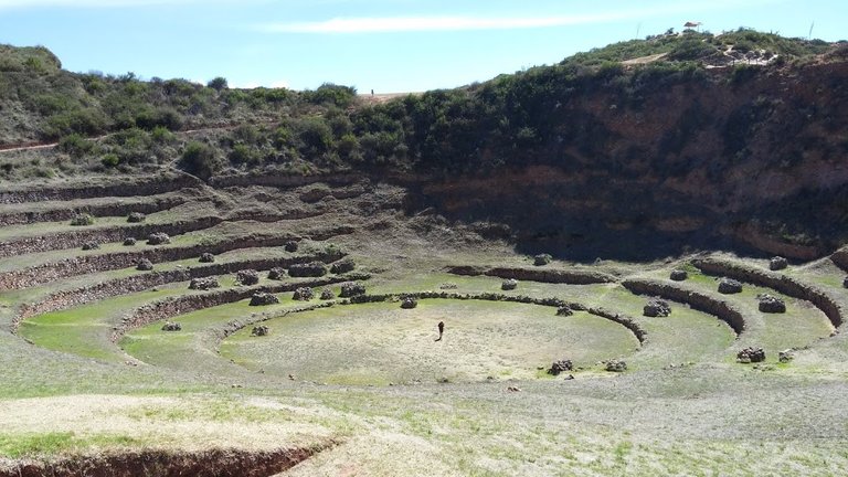 Moray