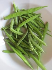 Harvested Cluster Beans Grown in Containers