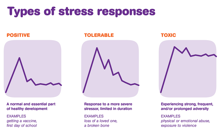 Stress-response