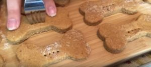 homemade dog treats