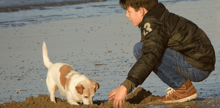 Boy and his dog playing on the beach