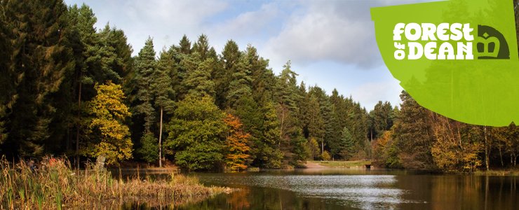 Forest of Dean Header