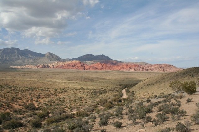 desert SW image