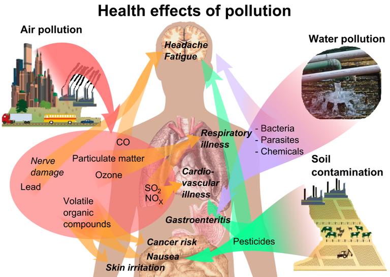 Health_effects_of_pollution.png