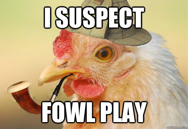 Image result for fowl meme