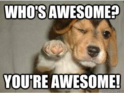 you are awesome