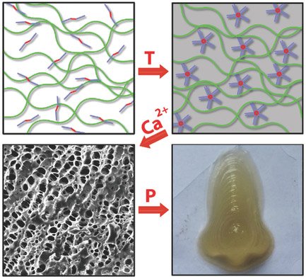 bio-printing