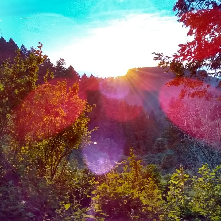 67604366-95cf-46dd-bcb9-5ce2f0ec1cf3.jpeg
