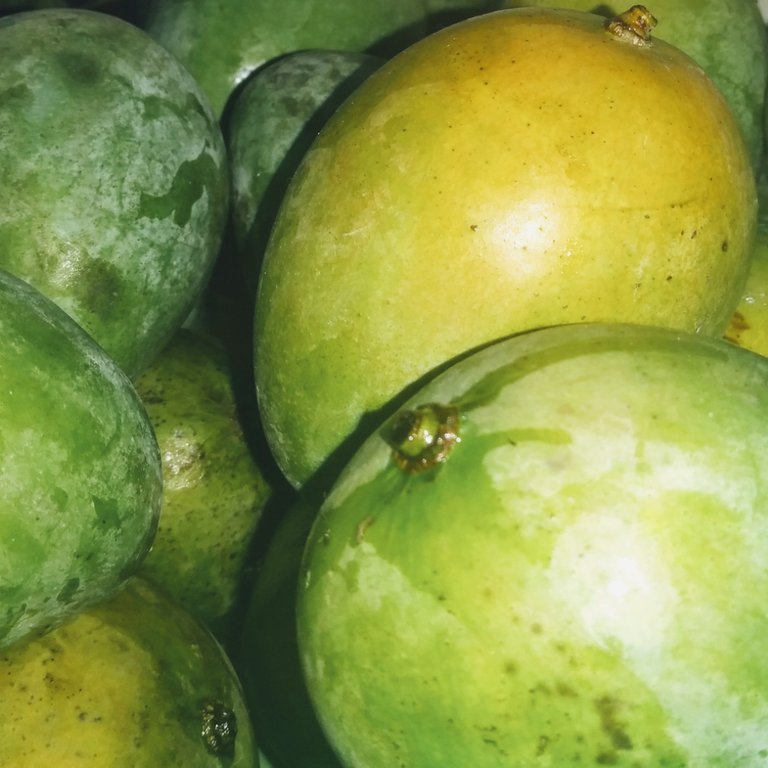 ae5add15-5c4d-433d-9486-c2de7a4b146b.jpeg
