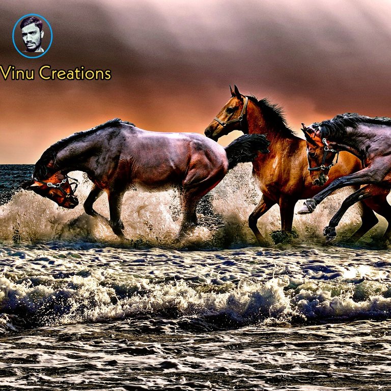 b8b264f5-92af-4a67-bc87-fb0d21986158.jpeg