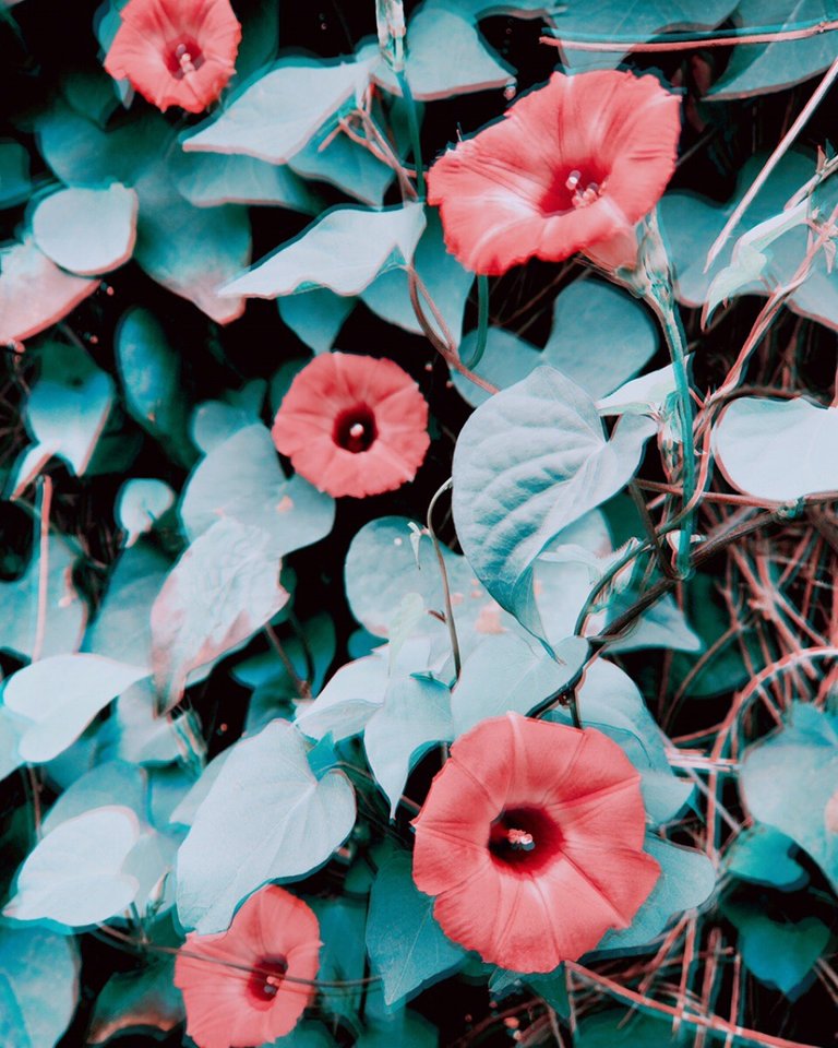 cb1692ff-bb4b-4cbc-b7b7-3c70fbaf4947.jpeg
