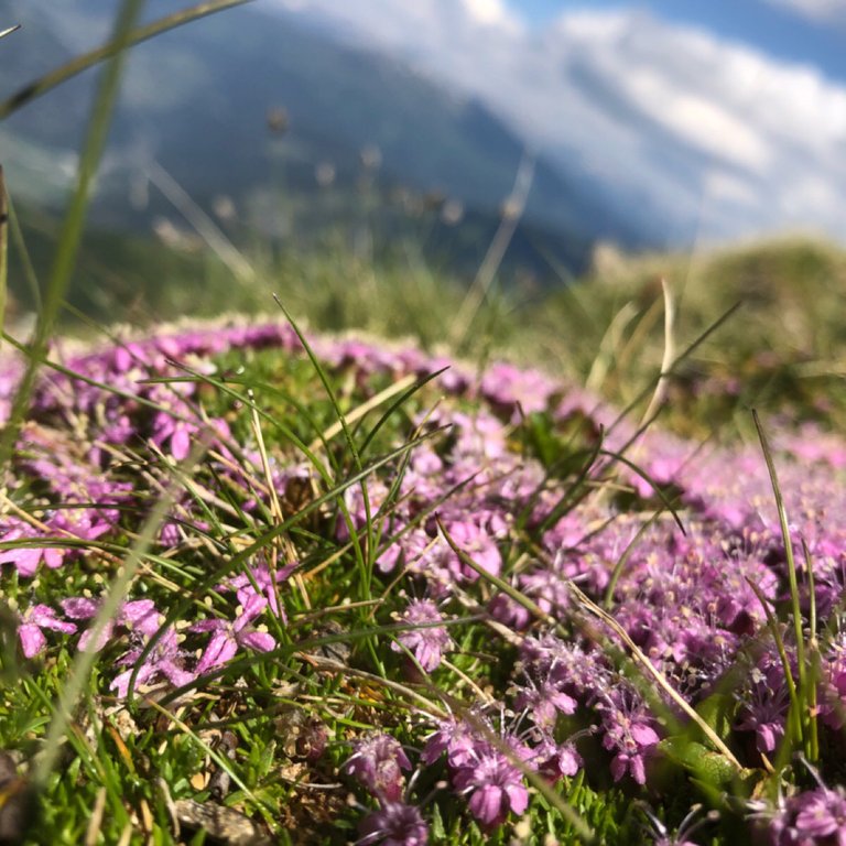 cc33315e-2a14-451f-a530-21ae8e74c238.jpeg