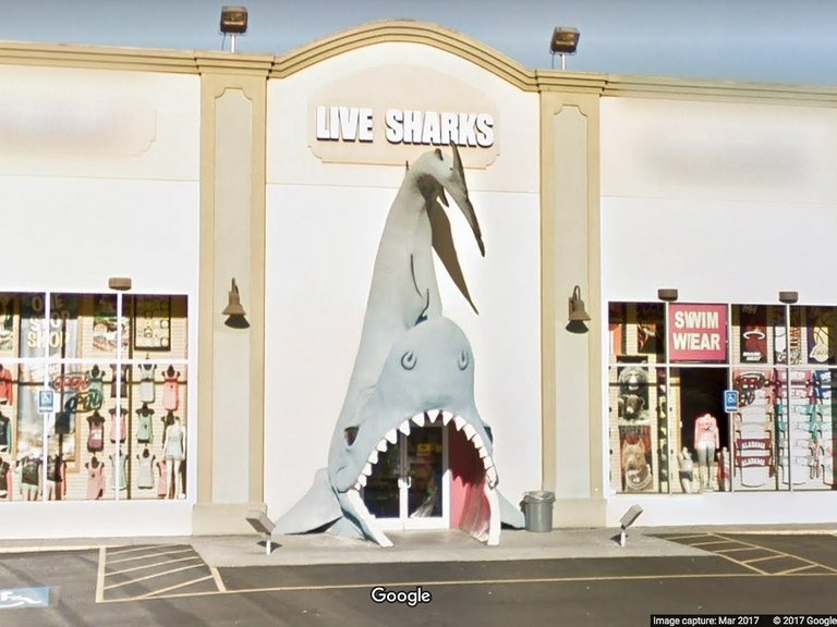 Pigeon Forge Live Sharks Shop