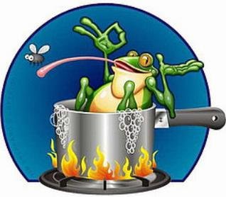 Wie kocht man einen Frosch