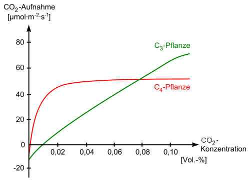 CO2 Aufnahme