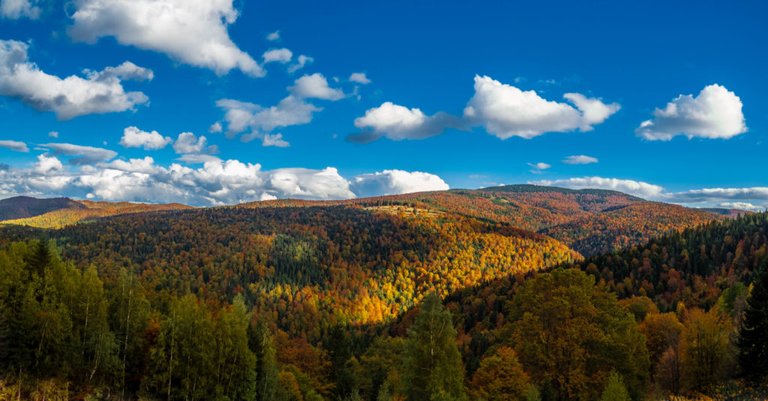 Mountain Golija in Autumn