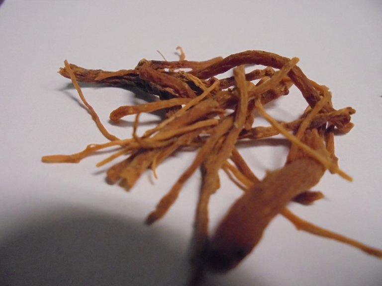 Red Ginseng