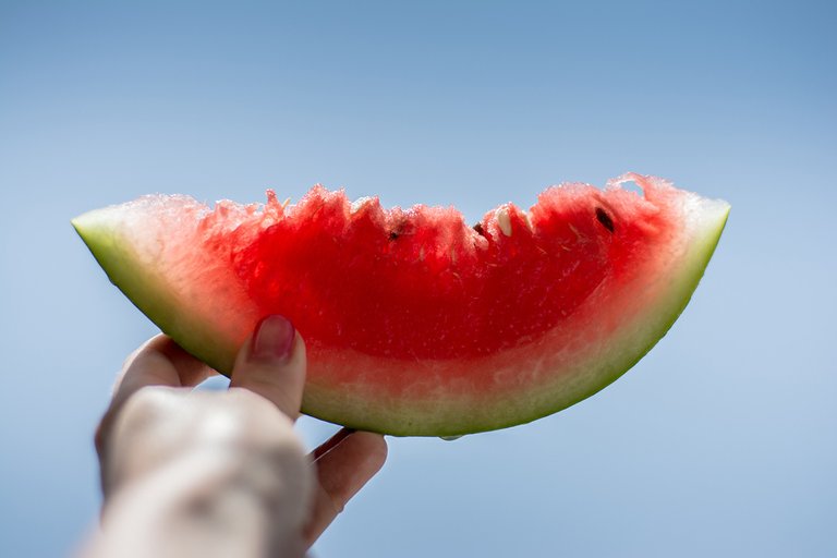 watermelon photo