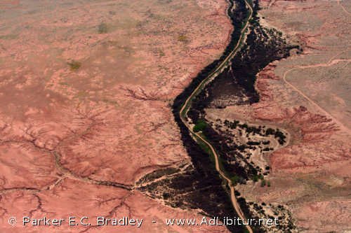 Photo - "Desert Arteries"