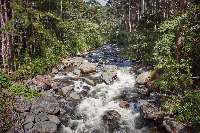 Best Tour in Boquete with ToursBQT19