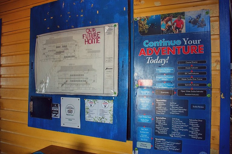 scuba certification in bocas del toro11