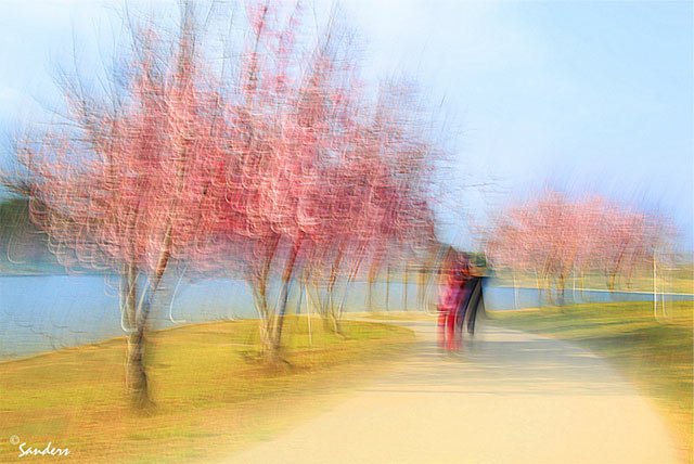 Camera Movement Impressionist Photography