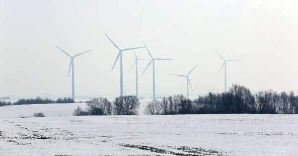 Windräder verschandeln nicht nur die Umgebung.