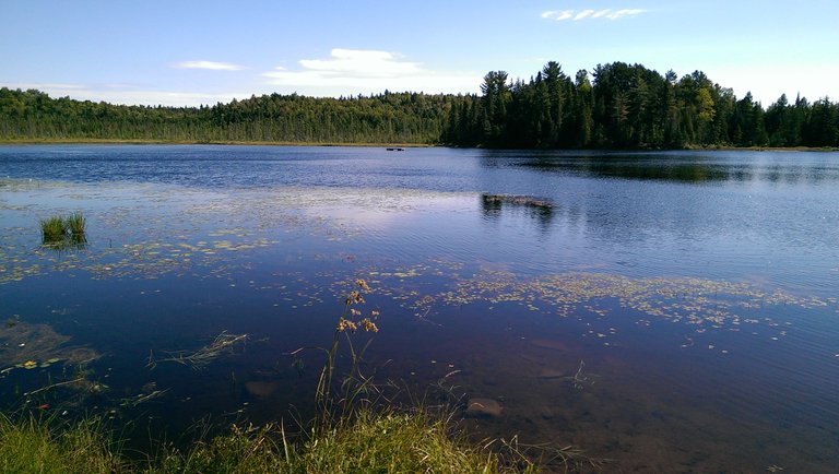 Early morning lake