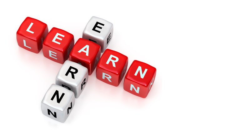 The Significance Of The Learn2Earn Model