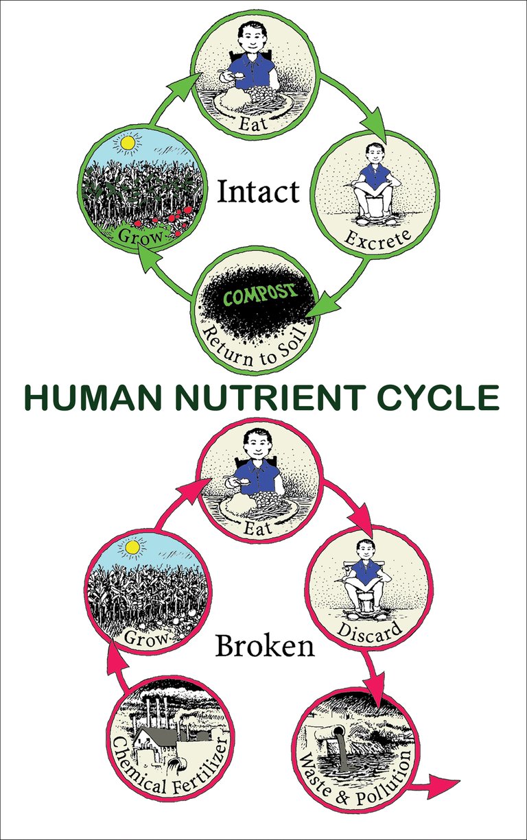 the human nutrient cycle (intact & broken)