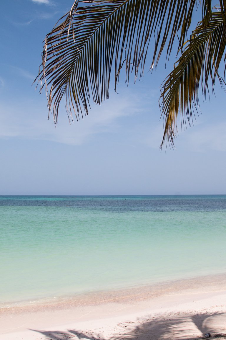 Relaxing under the palm trees