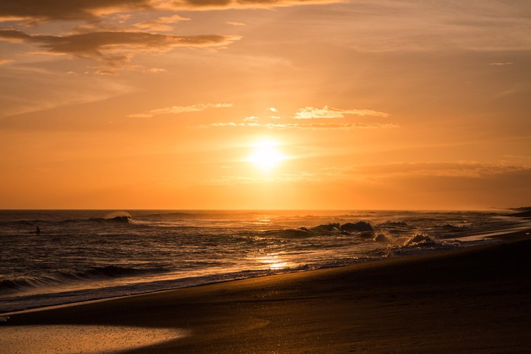 Surfing Turtle sunsets