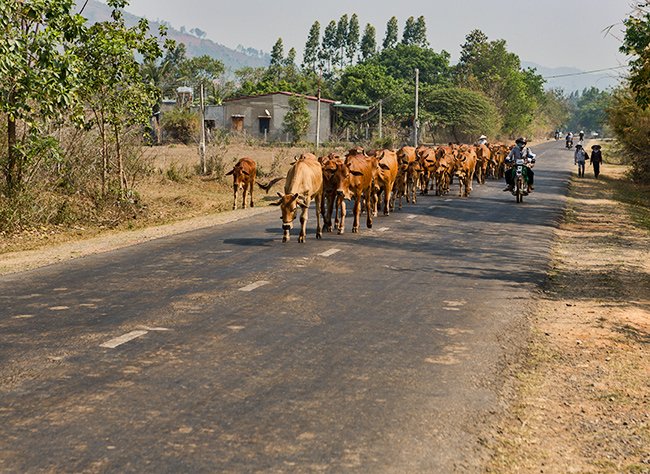 Rush hour