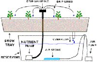 Drip System