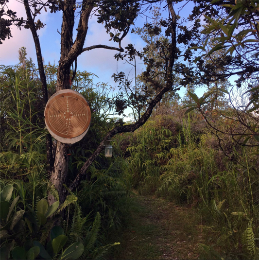 awapuhi labyrinth