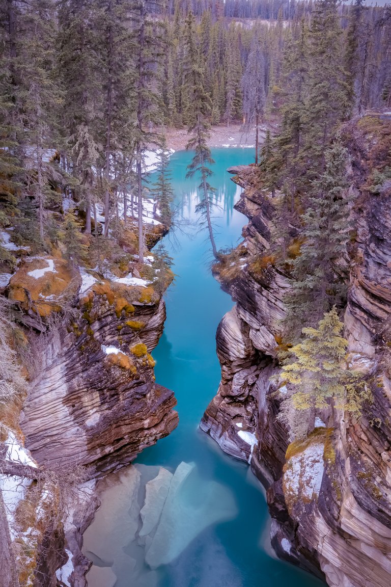 AthabascaFallsCanyon.jpg