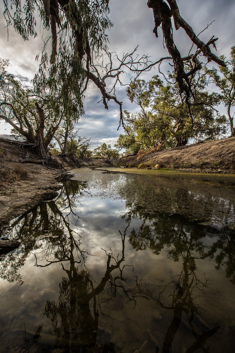 DarlingRiverTributary1.jpg