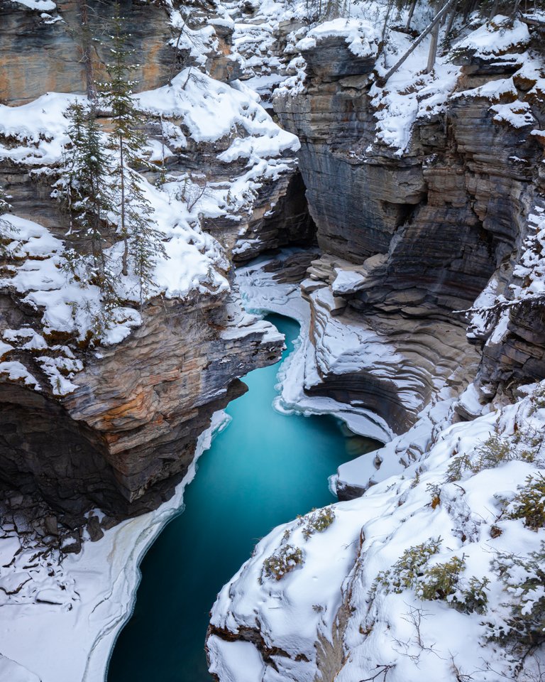 FrostyAthabascaCanyon.jpg