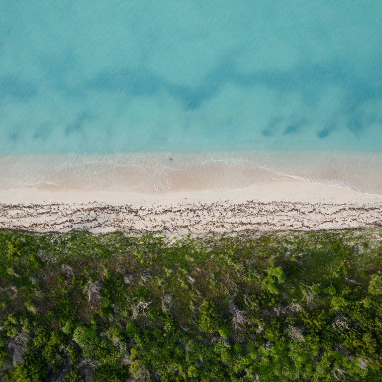 TriColourBeachBarbuda.jpg