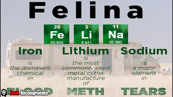 FELINA-breaking-bad.png