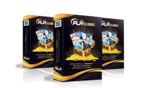 plr goldmine product box