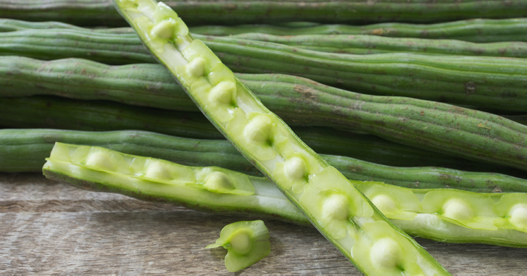 Drumstick Tree seed pods