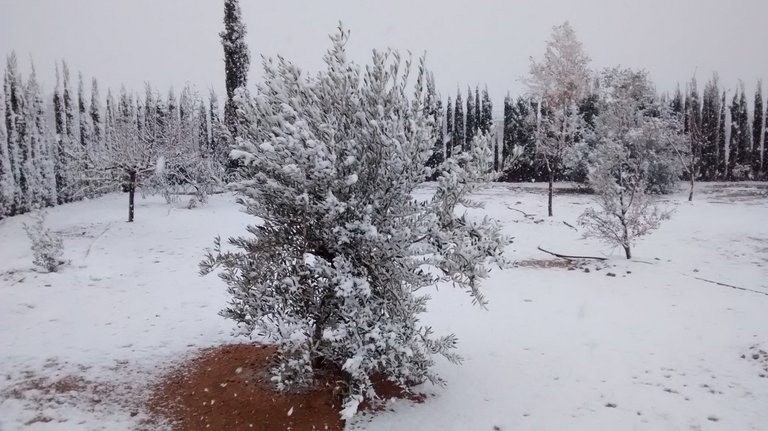 snow in murcia 01