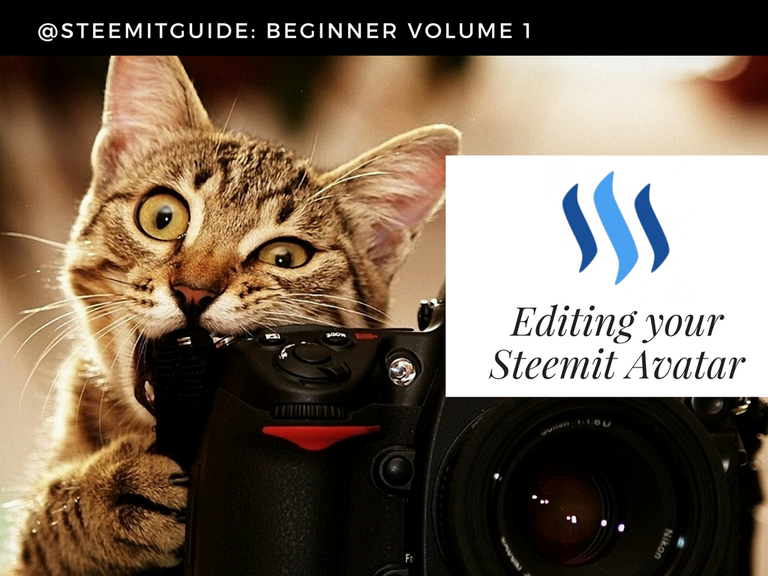 SteemitGUIDE1f829a.png