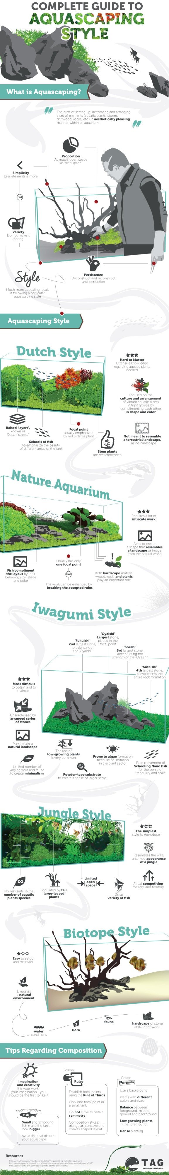 Aquascaping Style - The Complete Guide