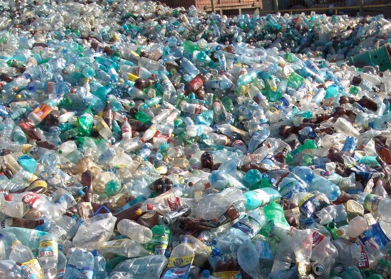 pet bottles