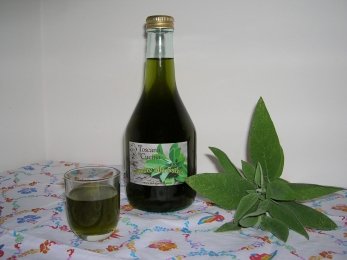 Liquore salvia