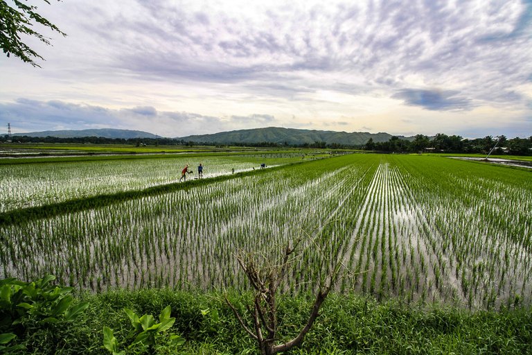 Beautiful Photos Of The Philippines